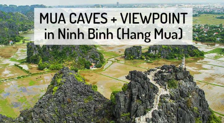 Panoramic view from Mua Cave viewpoint showing stone stairs winding up the limestone mountain and rice fields below in Ninh Binh, Vietnam