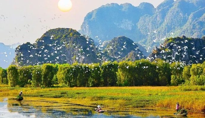 Van Long Nature Reserve with limestone mountains, flocks of white birds, and locals rowing boats on the tranquil wetland in Ninh Binh, Vietnam